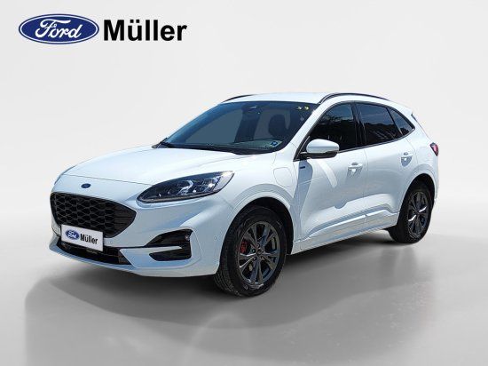 Kuga