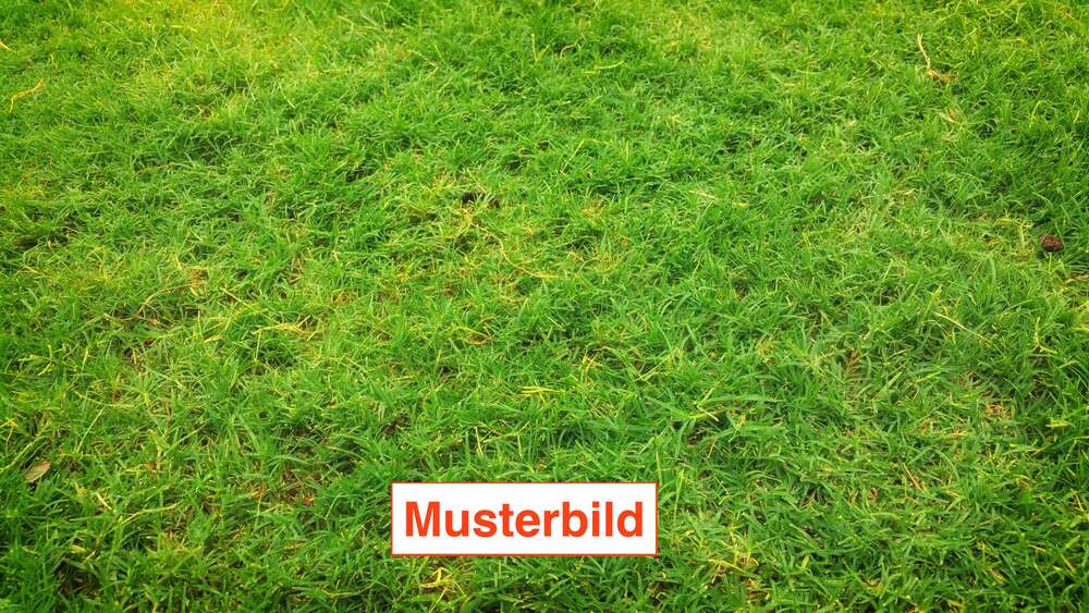 Grundstück Sankt Augustin - 305.000&euro; | Angebot:25907938