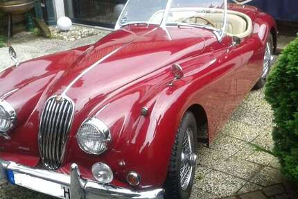 Jaguar XK 95.000 km 95.000 &euro; Overath 51491
