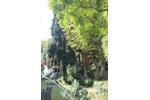Etagenwohnung Köln Lindenthal - 5 Zimmer, 106 m&sup2;, 765.000&euro; | Angebot:27197396