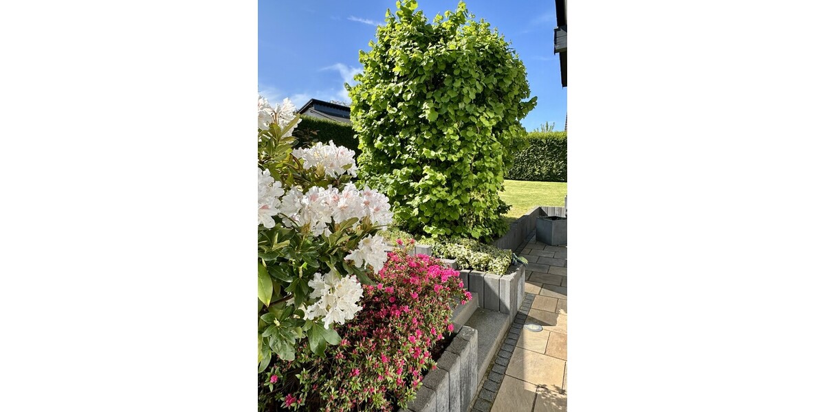 Lichtdurchflutetes modernes Einfamilienhaus mit Einliegerwohnung! - Einfamilienhaus Königswinter / Thomasberg Thomasberg | Angebot:26932422