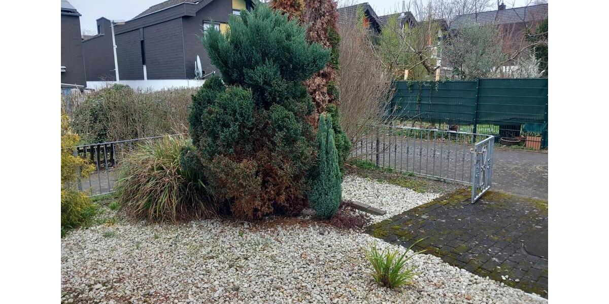 Einfamilienhaus Bonn Tannenbusch - 3 Zimmer, 110 m&sup2;, 425.000&euro; | Angebot:25874687