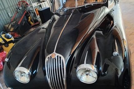 Jaguar XK 5.300 km 91.900 &euro; Niederkassel 53859
