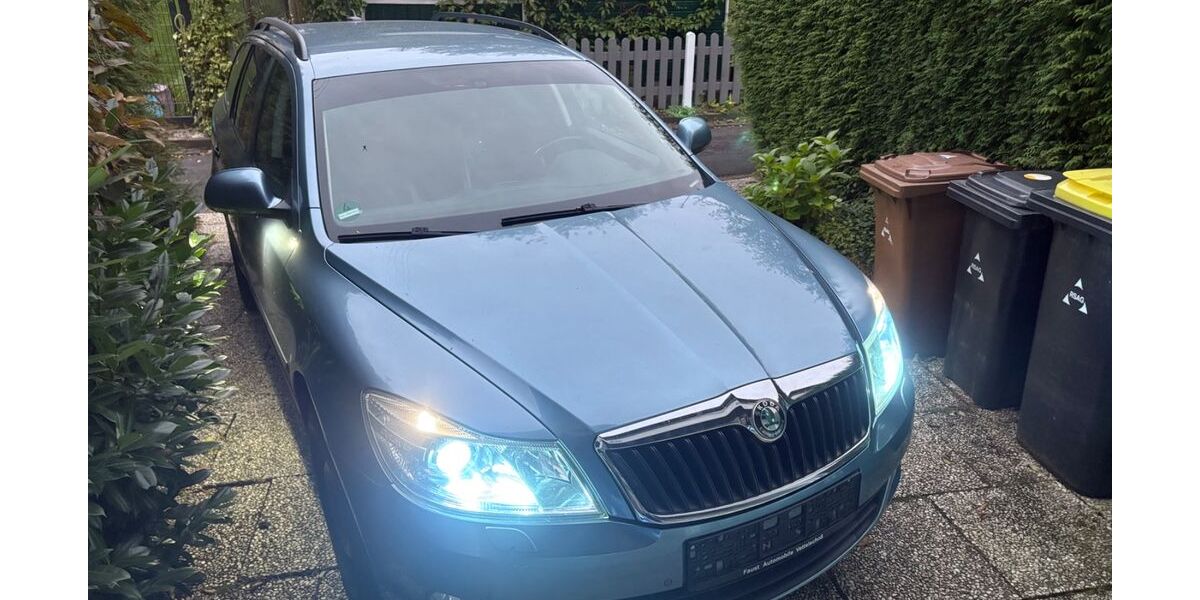 Skoda Octavia 177.094 km 2.500 &euro; Neunkirchen-Seelscheid 53819