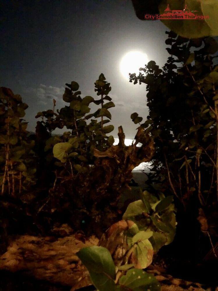 Grundstück in Costa Rica in einer der blauen Zonen der Erde zimmer