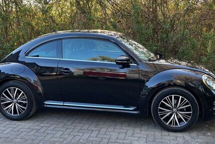 VW Beetle