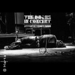 The Doors In Concert