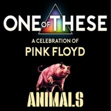 One Of These – A celebration of Pink Floyd / Animals Tour 28.08.2026 Kleines Theater Bad Godesberg