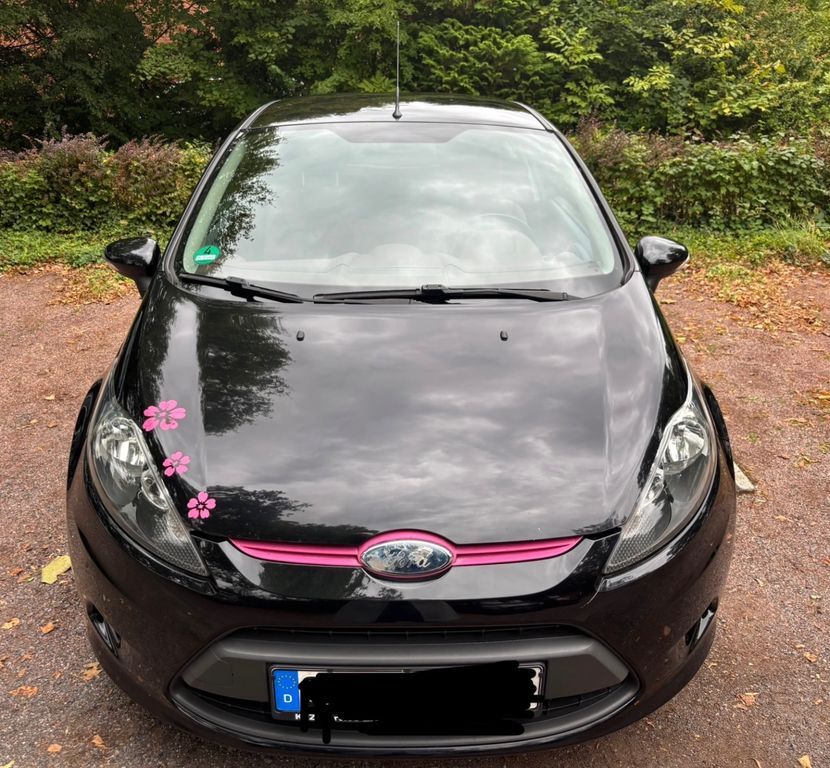 Ford Fiesta 171.356 km 2.199 € Bonn 53111