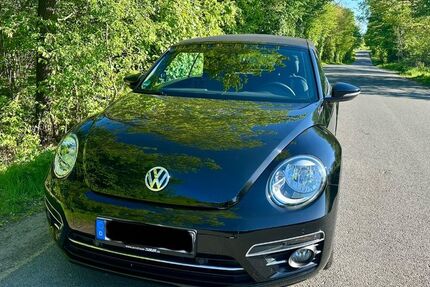 VW Beetle 58.500 km 13.800 &euro; Sankt Augustin 53735