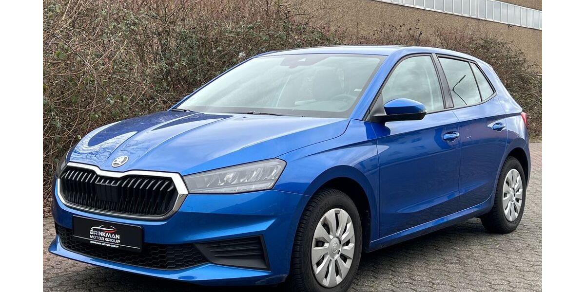 Skoda Fabia 22.582 km 14.695 &euro; Weilerswist 53919