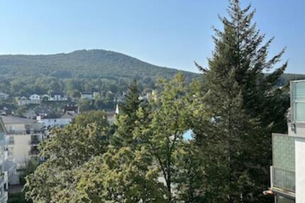 Wohnung Bad Neuenahr-Ahrweiler Ahrweiler - 3.5 Zimmer, 103 m&sup2;, 220.000&euro; | Angebot:24875672