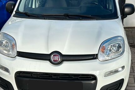 Fiat New Panda