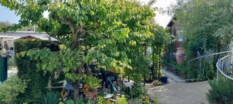 Einfamilienhaus Hennef (Sieg) - 3 Zimmer, 80 m&sup2;, 73.000&euro; | Angebot:26908922
