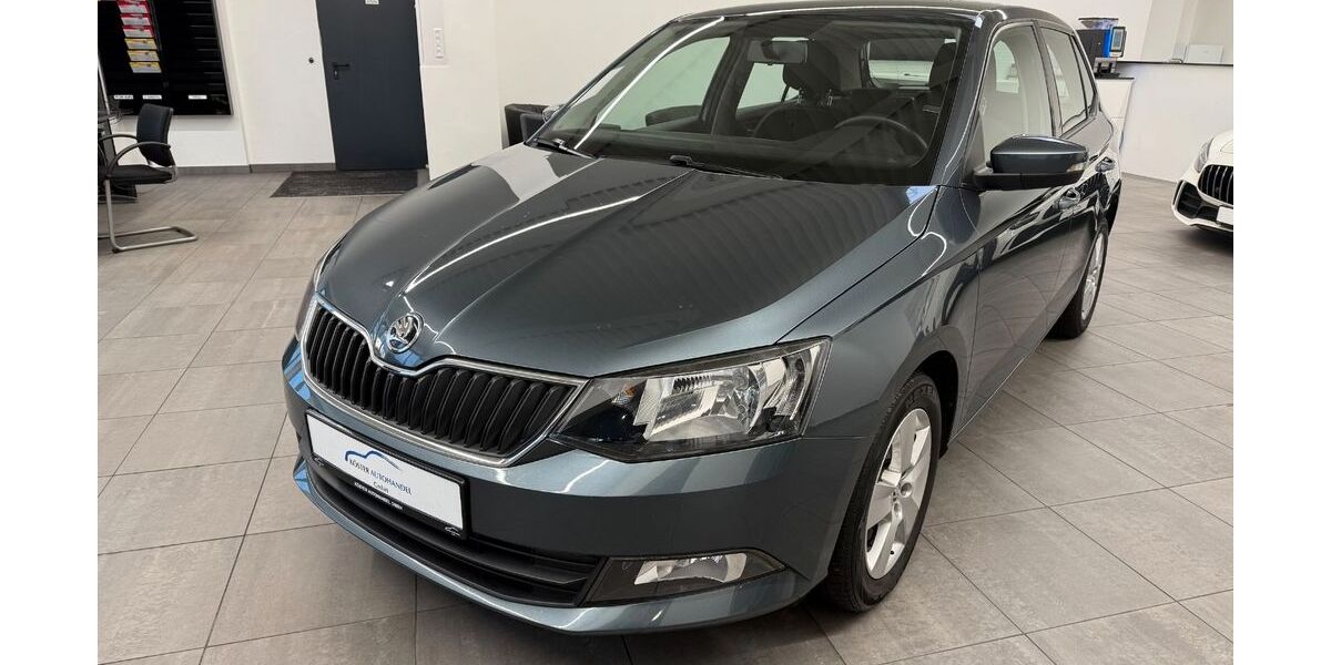Skoda Fabia 124.900 km 9.890 &euro; Bonn 53175