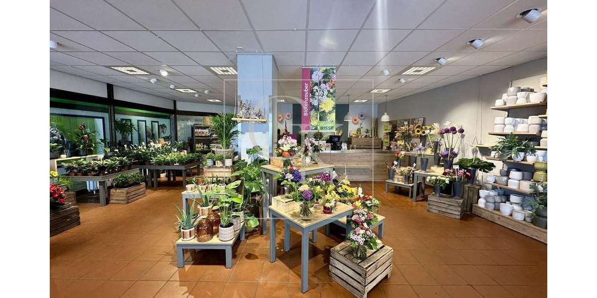 Gewerbeobjekt Wesseling - 350.000&euro; | Angebot:26551543