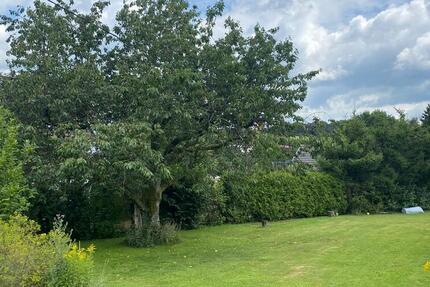 Platz für Ihre Ideen- Baugrundstück in bester, dörflicher Lage - Grundstück Ruppichteroth Ruppichteroth | Angebot:22068135