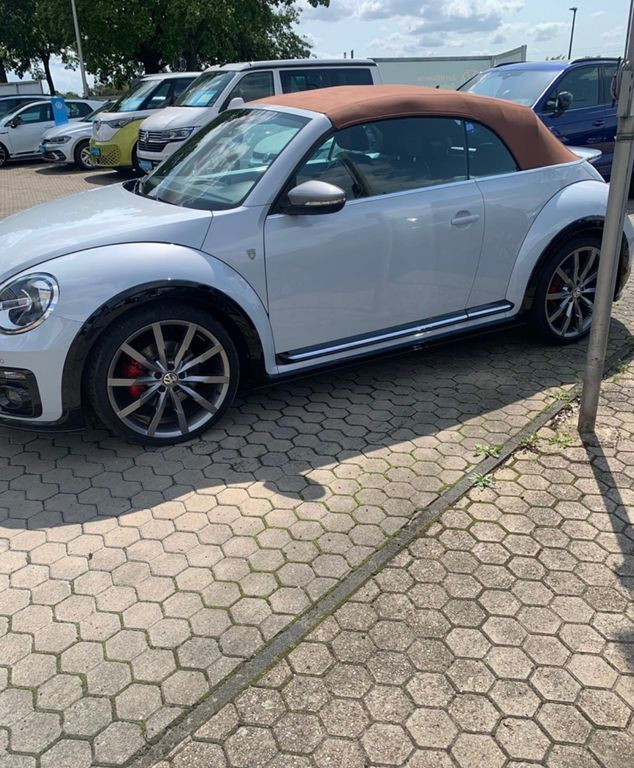 Beetle