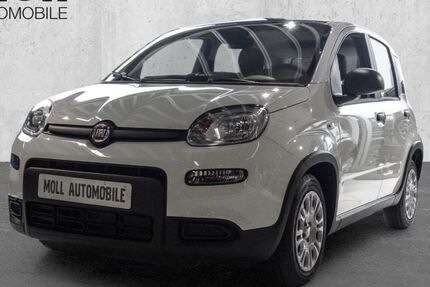 Fiat Panda 3.999 km 14.480 € Euskirchen 53879