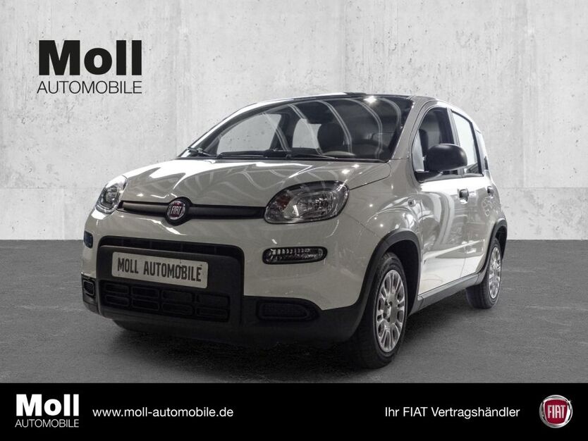 Fiat Panda 3.999 km 14.480 € Euskirchen 53879