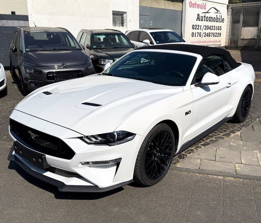 Mustang