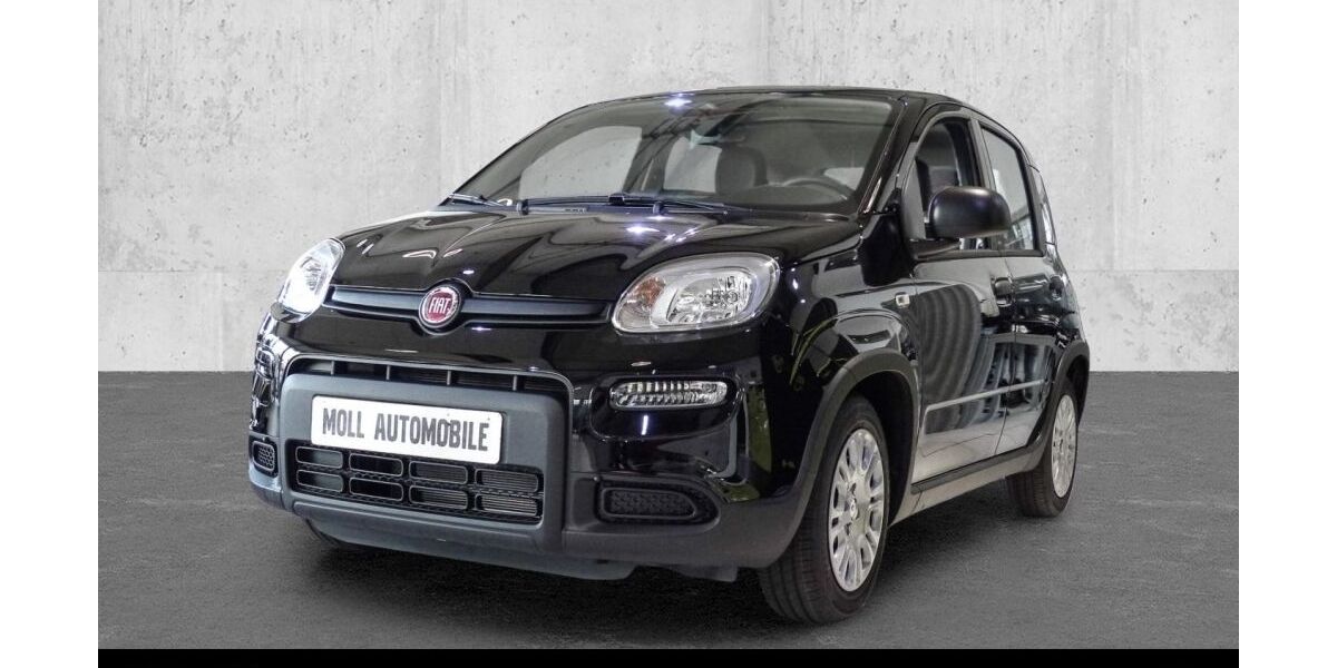 Fiat Panda 5.990 km 12.980 &euro; Köln 51149