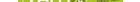 Erzieher (m/w/d) mit Dienstwagen