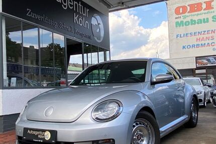 VW Beetle