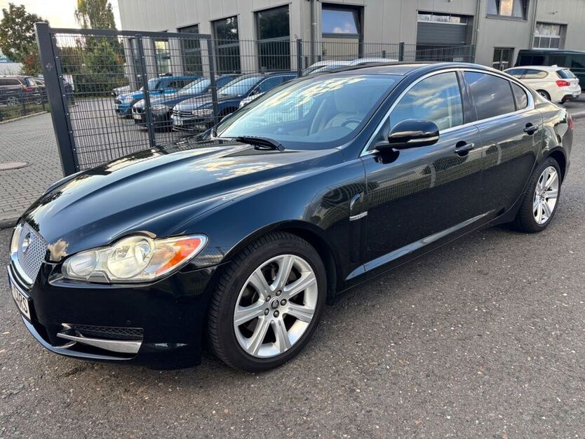 XF
