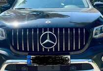 Mercedes X 350