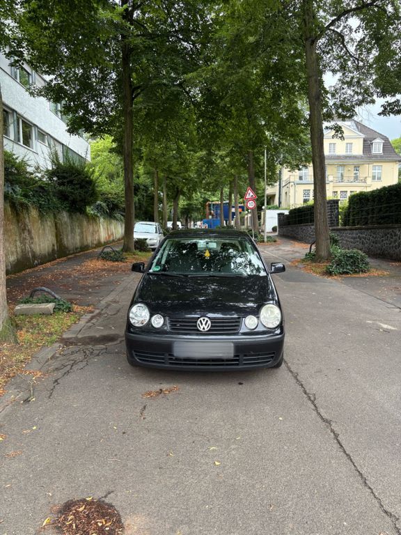 Polo