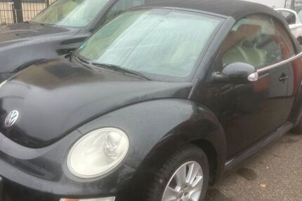 VW Beetle