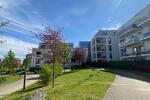 Etagenwohnung Bonn Hardtberg - 2 Zimmer, 69 m&sup2;, 1.350&euro; | Angebot:25903126